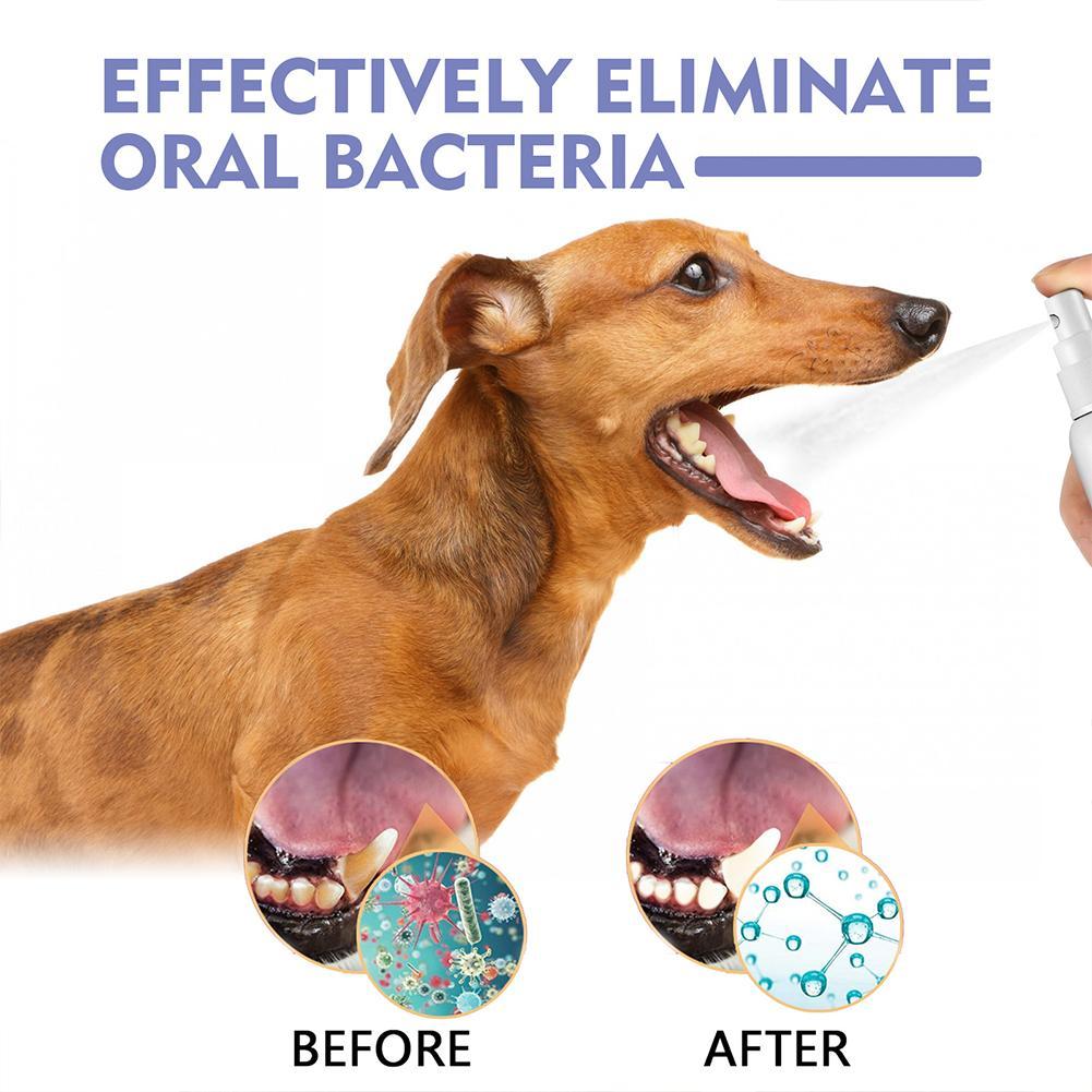 Pet Mouth Spray,Fresh Breath & - Teeth Whitening Mouthwash recension och pris